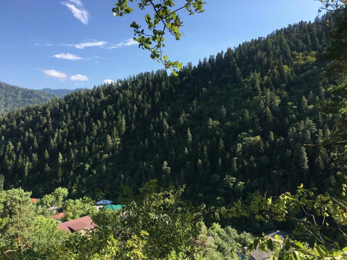 Serenity Likani Villa Hotel 博尔若米 外观 照片