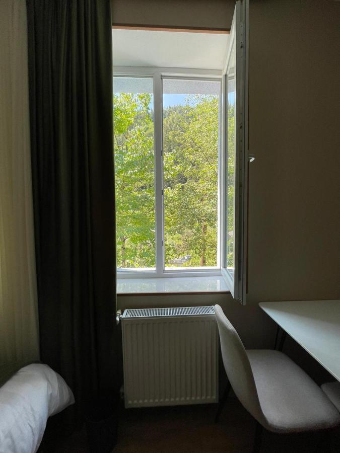 Serenity Likani Villa Hotel 博尔若米 外观 照片