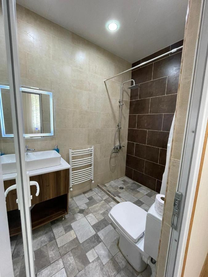 Serenity Likani Villa Hotel 博尔若米 外观 照片