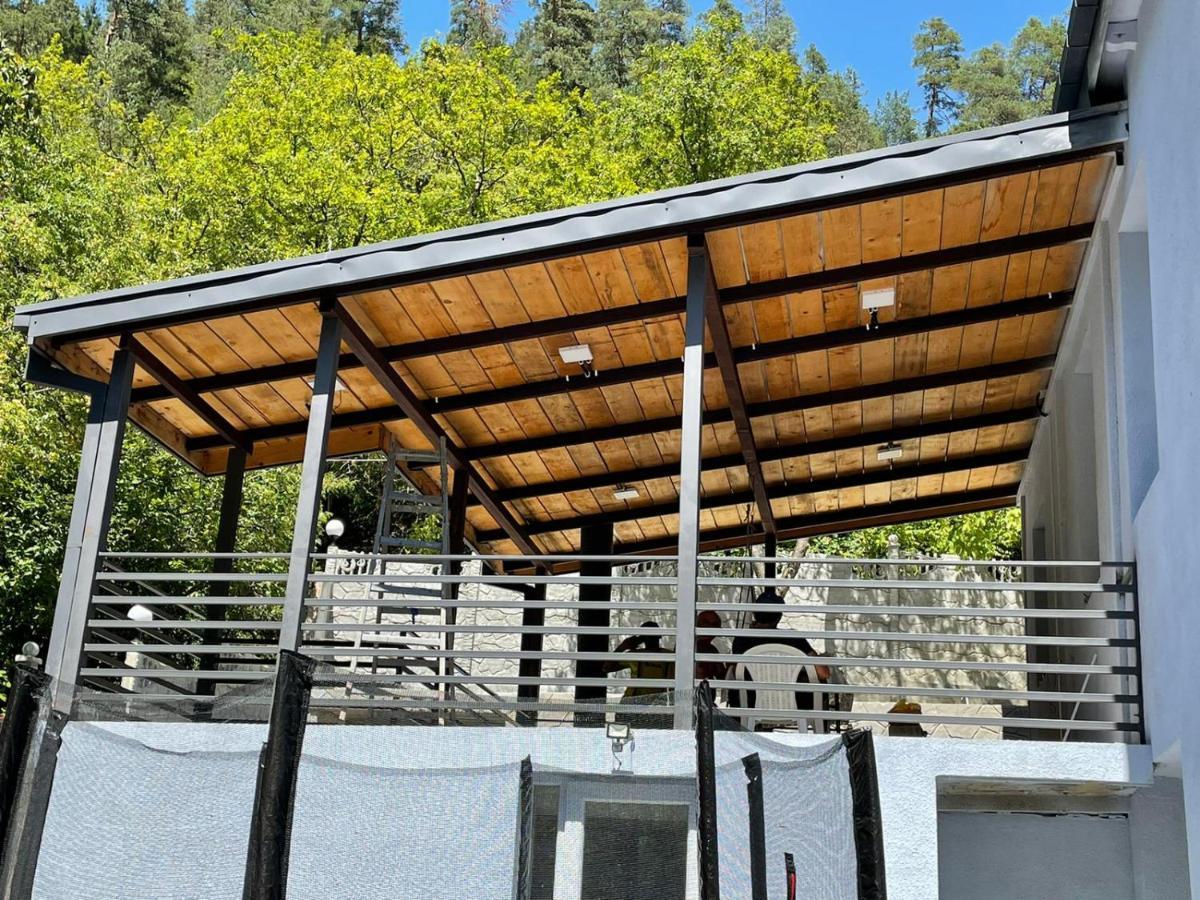 Serenity Likani Villa Hotel 博尔若米 外观 照片