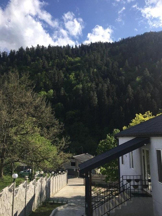 Serenity Likani Villa Hotel 博尔若米 外观 照片