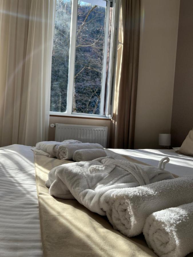 Serenity Likani Villa Hotel 博尔若米 外观 照片