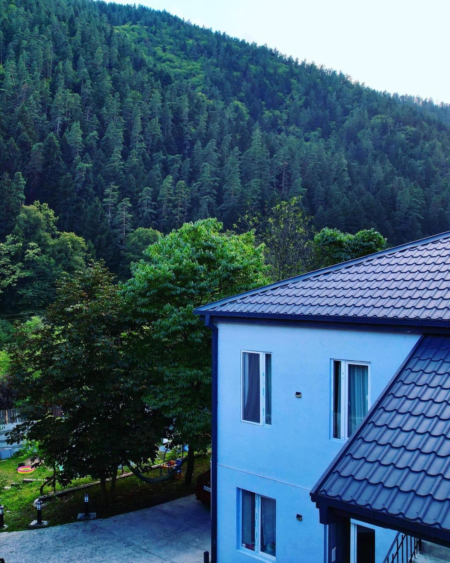 Serenity Likani Villa Hotel 博尔若米 外观 照片